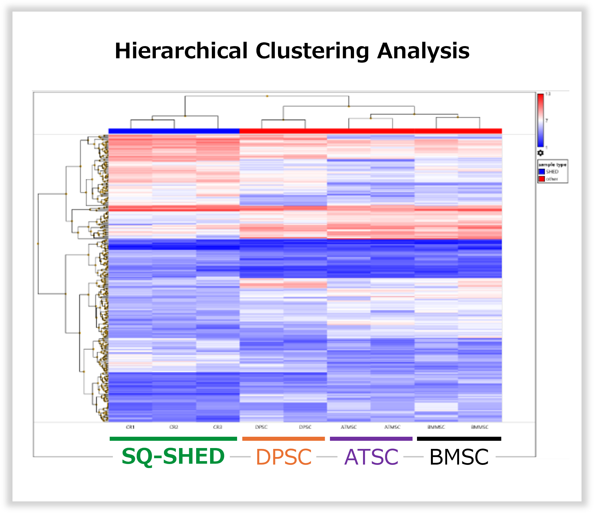 Microarray Study